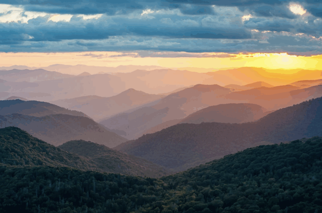 The Clearing: Anxiety Transformation Retreat 7